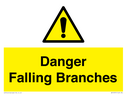 danger-falling-branches~